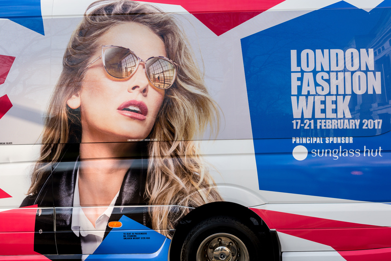 Revealed 8 Little-Known Facts About Sunflowers That Will Surprise You